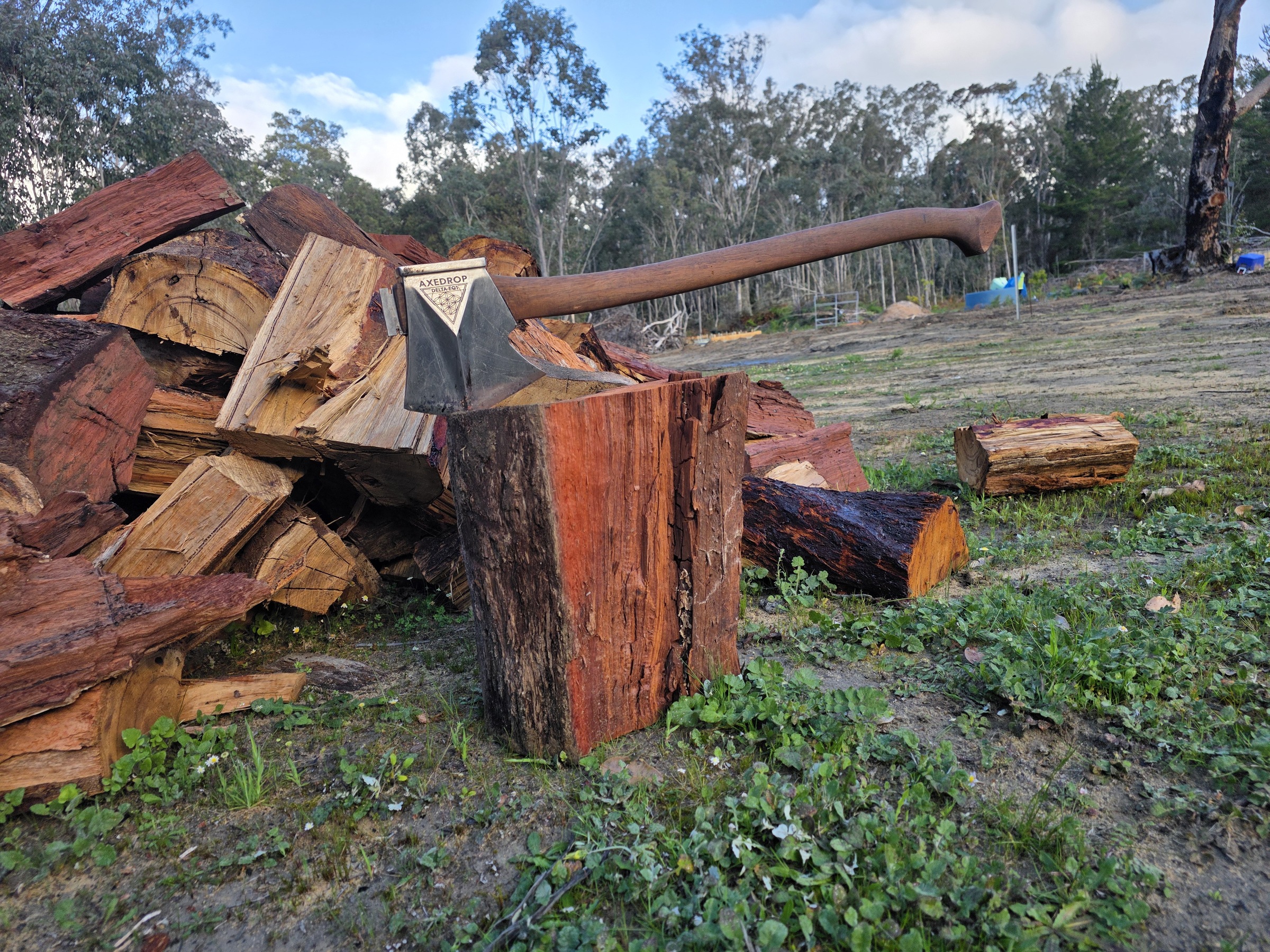 Delta EQ1 in the woodpile